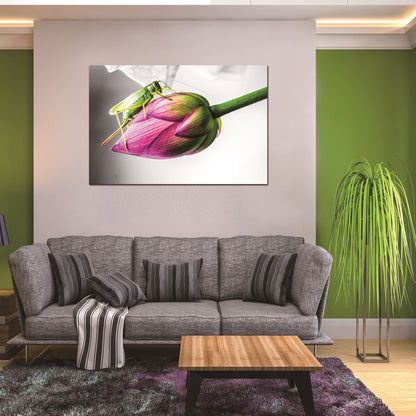 JD-B595 Pink Flower with Cricket Acrylic Picture